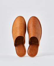Load image into Gallery viewer, RSI-M Room Shoes