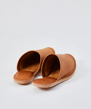 Load image into Gallery viewer, RSI-M Room Shoes